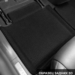 Левый пассажир