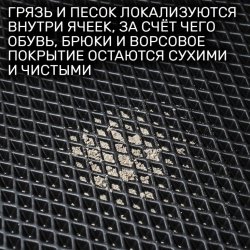 2D коврики EVA Audi Q5 II (2017-2020)