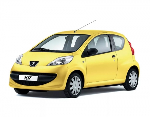 2D коврики EVA в салон и багажник  на Peugeot 107 (2005-2014)