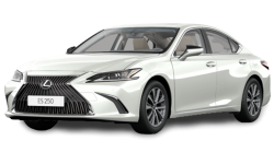 2D коврики EVA в салон  на Lexus ES VII (2018-н.в.)