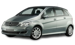 2D коврики EVA в салон  на Mercedes-Benz B W245 (2005-2011)