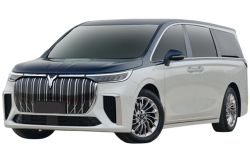 2D коврики EVA в салон и багажник  на Voyah Dream (2021-н.в)